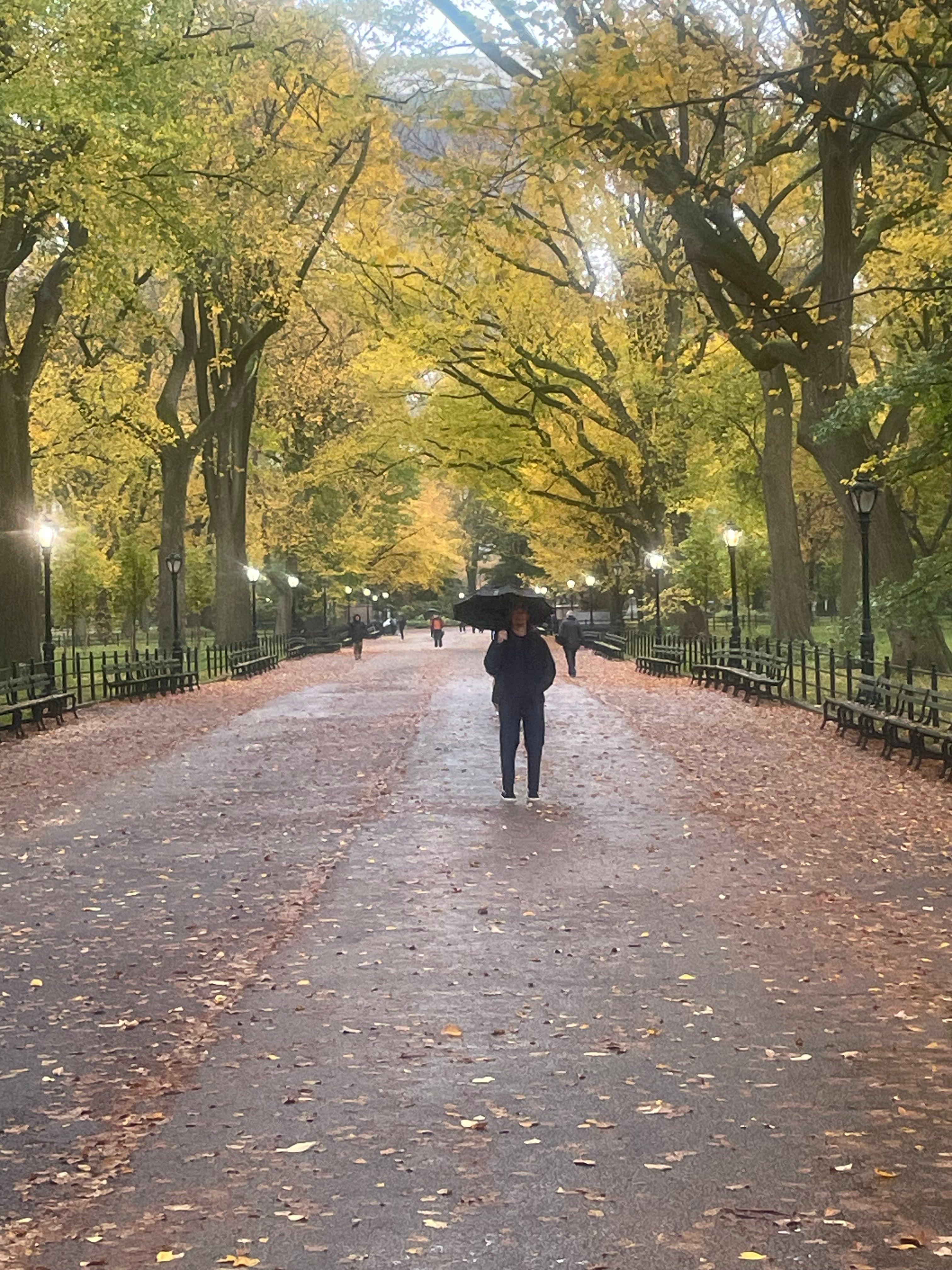 A Rainy Day in Central Park